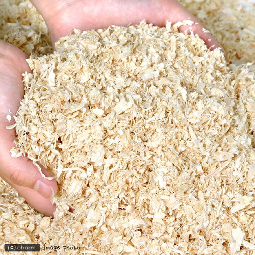 �ޥ륫�󡡤դ��դ����եȥޥåȡ�30L�����������ϥॹ���������ࡡ�ϥ�ͥ��ߡ��������7���¤ꡡ����������