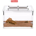 アウトレット品 リトルカーペンターズ アリ飼育用 レイアウト済み中餌場 蟻 飼育容器 関東当日便