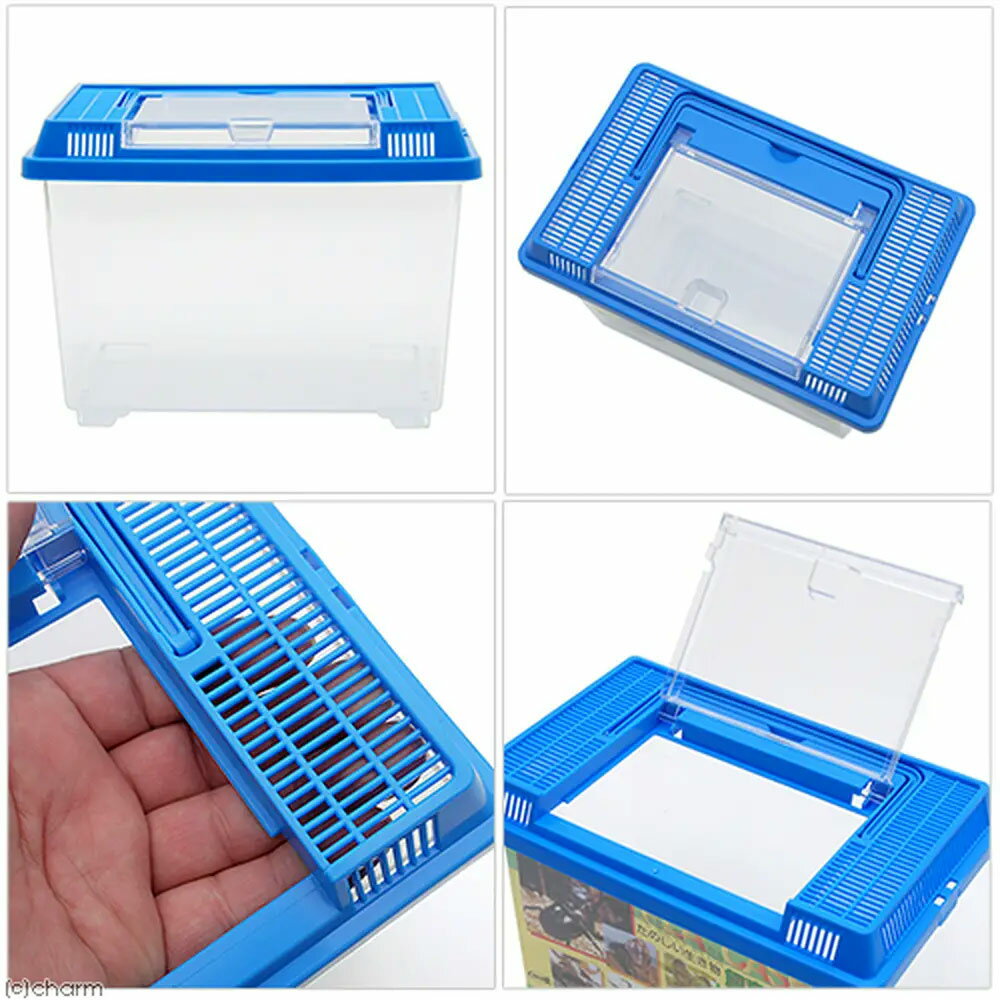 ���ʤΤߡ��Ĥ����ñ���饻�åȡ�4�����åȡʥץ饱������ή�ڡ��¡��ޥåȡˡ������ॷ�������������������������