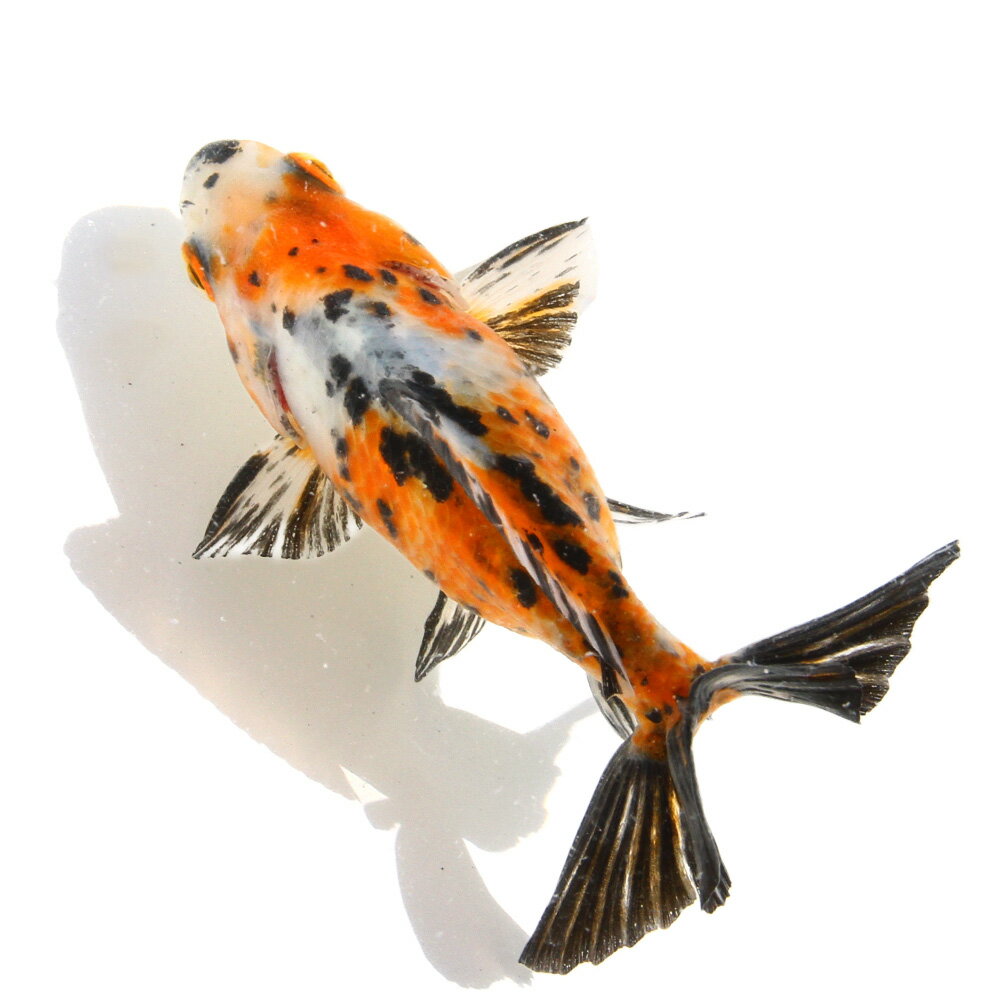 �ʹ񻺶���˰���ʪ�������϶⡡10cm�ޡ���¼�ܵ����1ɤ�ˡ�����������