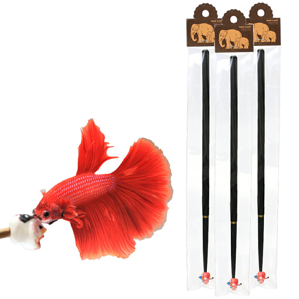 （熱帯魚）ベタ　フレアリングスティック　柄おまかせ　Lサイズ（約25cm）（3本）