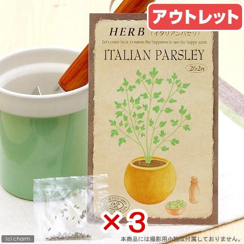 消費期限：2026年5月31日 お買い得品3個セット ハーブ HERB （イタリアンパセリ） 品番：828 家庭菜園 訳あり 関東当日便