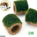 (水草)巻きたて ライフマルチ(茶)南米ウィローモス(水中葉)(無農薬)(3個)