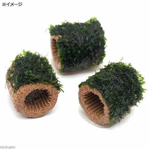 （水草）巻きたて　ライフマルチ（茶）フレームモス（無農薬）（3個）