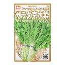 賞味期限：2024年5月31日　野菜の種　サラダ京水菜　品番：1129　家庭菜園　訳あり【HLS_DU】　関東当日便