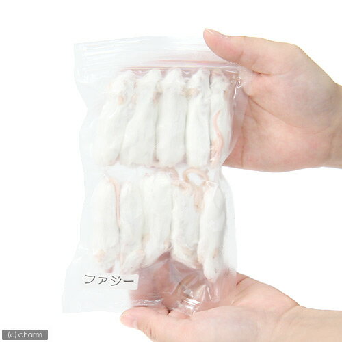 冷凍★ファジー カタ養殖 Mice10 冷凍マウス（10匹） パック 別途クール手数料
