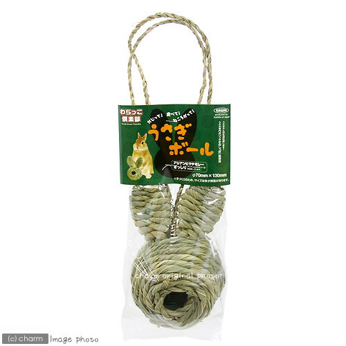 ��4��5�����������Ψ2ʬ��1��1������100����桡�������ܡ���