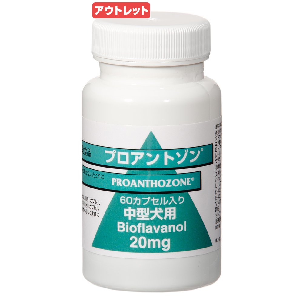 共立製薬　プロアントゾン　犬用　20mg　60粒　関東当日便