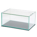 コトブキ工芸　ガラスの水景（30×20×14cm）　30cm