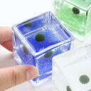 (水草)私の小さなアクアリウム 〜ウキウキ気分なマリモセット(ブロックグラスS×4ポット)〜(説明書付) 本州四国限定