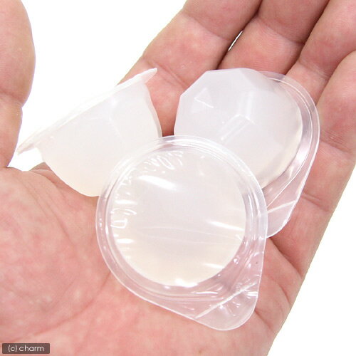 �ޥ륫�󡡥�ɥ��ꥼ�꡼��16g��12��������ɥ��ꡡ�ա��ɡ��������¡�����������