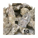 カキガラ 10kg ろ過 PH調整 関東当日便