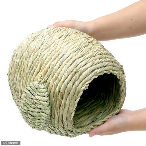 �ޥ륫�󡡥��⥷���Τ�����������������������åȡ�������顡�ϥ���������������