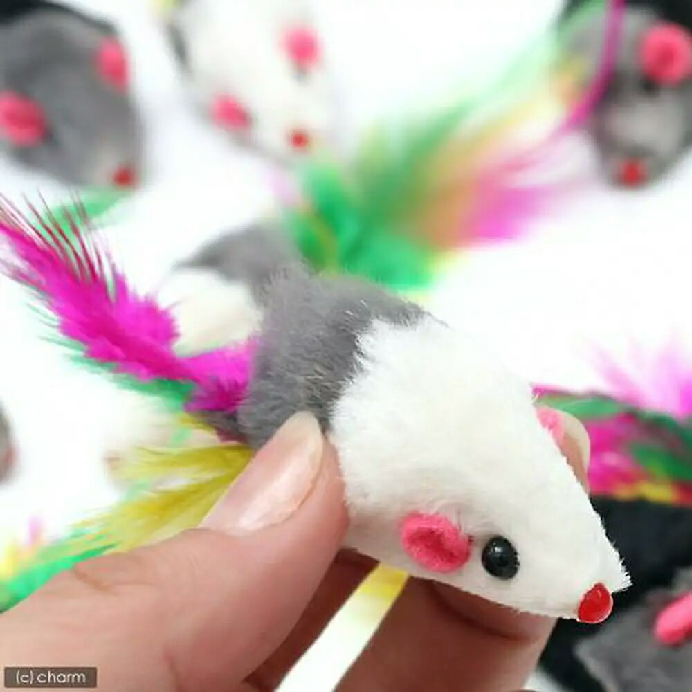 ����ƥ����ޥ󡡤����ǭ�����塼��������12������ǭ��ǭ�Ѥ�����㡡�ͤ��ߡ��ɥ����ޥ󡡴���������