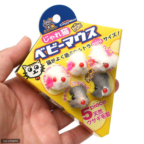 ����ƥ����ޥ󡡤����ǭ���٥ӡ��ޥ�����5������ǭ��ǭ�Ѥ�����㡡�ͤ��ߡ��ɥ����ޥ󡡴���������