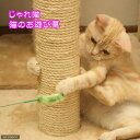 猫じゃらし　キャティーマン　じゃれ猫　猫のお遊び草　1本　猫　猫用おもちゃ　ドギーマン【HLS_DU】　関東当日便 2