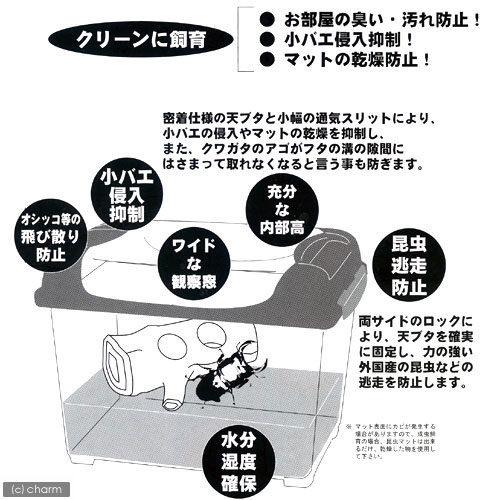 三晃商会 SANKO CLEAN CASE クリーンケース（S）（235×155×185mm） プラケース 虫かご 飼育容器の画像3枚目