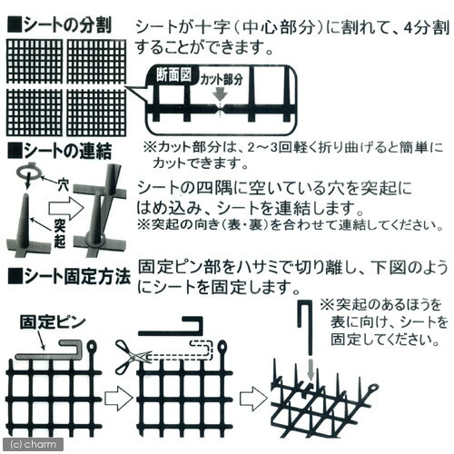 �������᥷���ȡ�10����������������