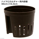 ハイドロカルチャー用内容器 直径8×高さ6.8cm 関東当日便