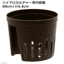 ハイドロカルチャー用内容器　直径8×高さ6．8cm　関東当日便