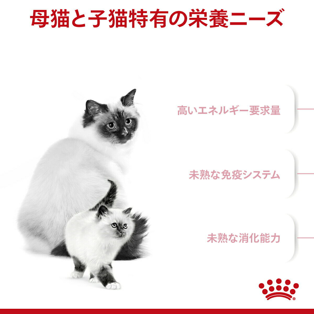 ロイヤルカナン　猫　マザー＆ベビーキャット　成長前期の子猫用　2kg　3182550707312　お一人様5点限り　ジップ付　関東当日便