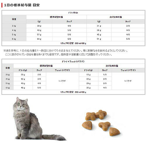 ロイヤルカナン　猫　センシブル　成猫用　4kg　3182550702331　お一人様5点限り　ジップ付　関東当日便