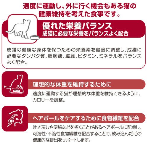 【5／15限定】当選確率2分の1！1等最大100％　ロイヤルカナン　猫　フィット　成猫...