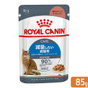 ロイヤルカナン 猫 ライトウェイトケア 減量したい成猫用 85g ウェット FHN－WET 9003579308769 お一人様5点限り【HLS_DU】 関東当日便