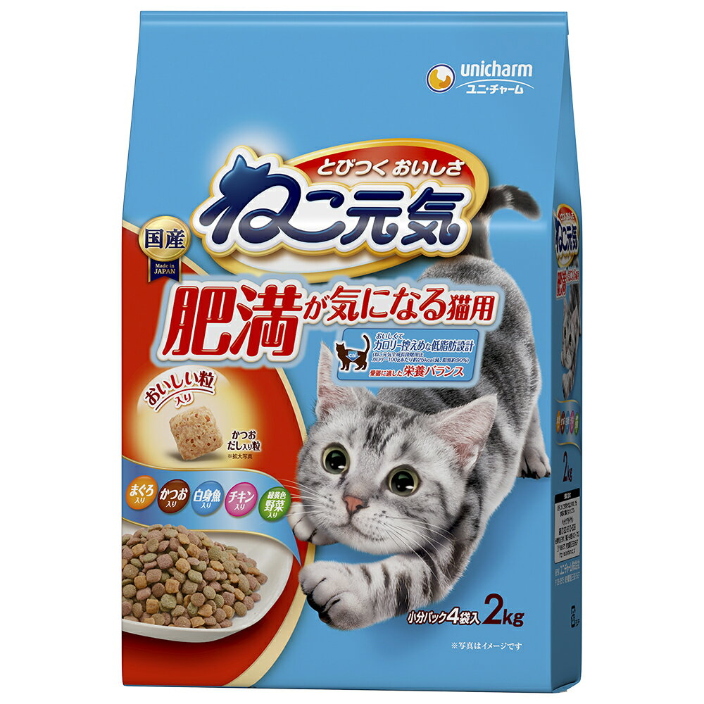 キャットフード　ねこ元気　肥満が気になる猫用　2．0kg　関東当日便