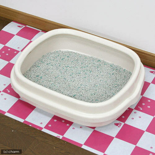 猫砂　オシッコのあとに香りで消臭する砂　ナチュラルグリーンの香り　5L　猫砂　ベントナイト　お一人様4点限り　関東当日便 chanet-10135019 charm 楽天市場店 サンプル画像3