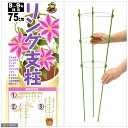 支柱 簡易梱包 リング支柱 75cm(8〜9号鉢用) 関東当日便