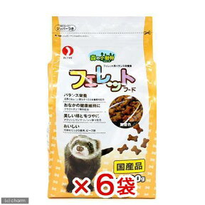 森の小動物シリーズ　フェレットフード　500g　6袋【HLS_DU】　関東当日便