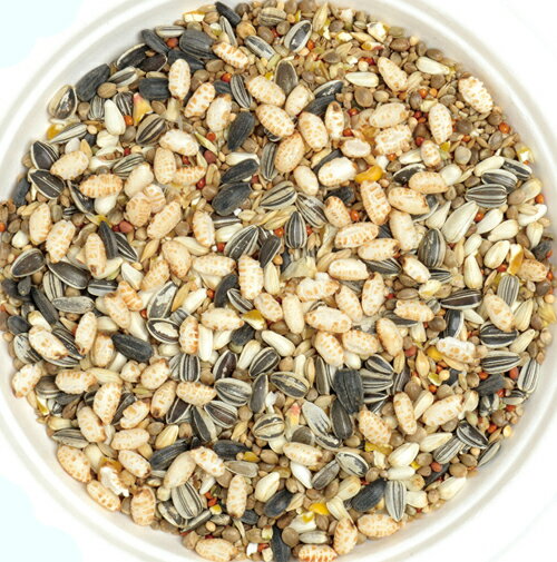 ��4��5�����������Ψ2ʬ��1��1������100�󡡥��������å������淿���󥳡��ܥ��󥤥󥳡�0��83L��Ļ���ա��ɡ��¡������������