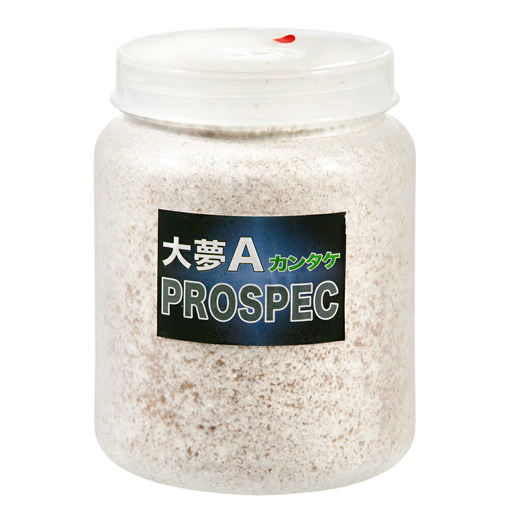 �ݻ�ӥ���̴A���ץ����ڥå����ʥ��󥿥��ˡ����ꥢ���ܥȥ롡800cc��5��