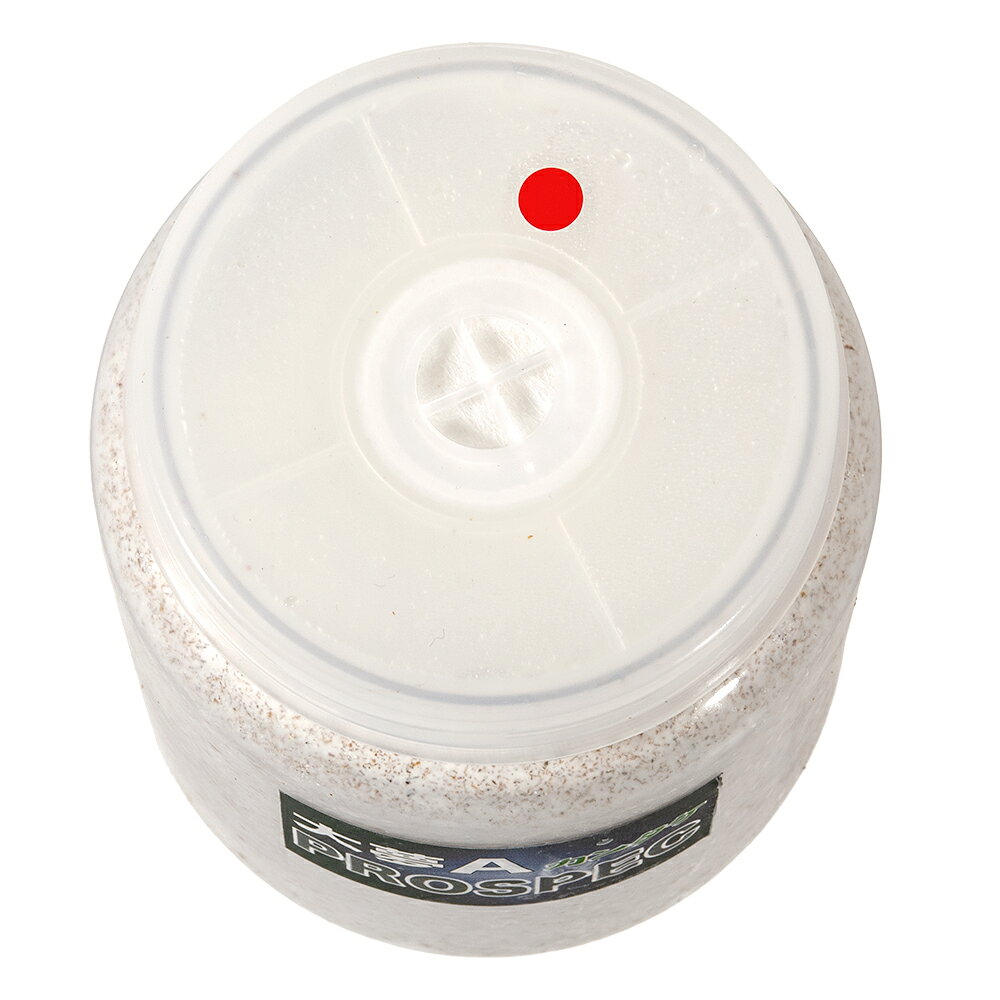 charm 楽天市場店の冷蔵★菌糸ビン　大夢A　プロスペック　（カンタケ）　クリアーボトル　800cc　10本　別途クール手数料　常温商品同梱不可｜アングル2