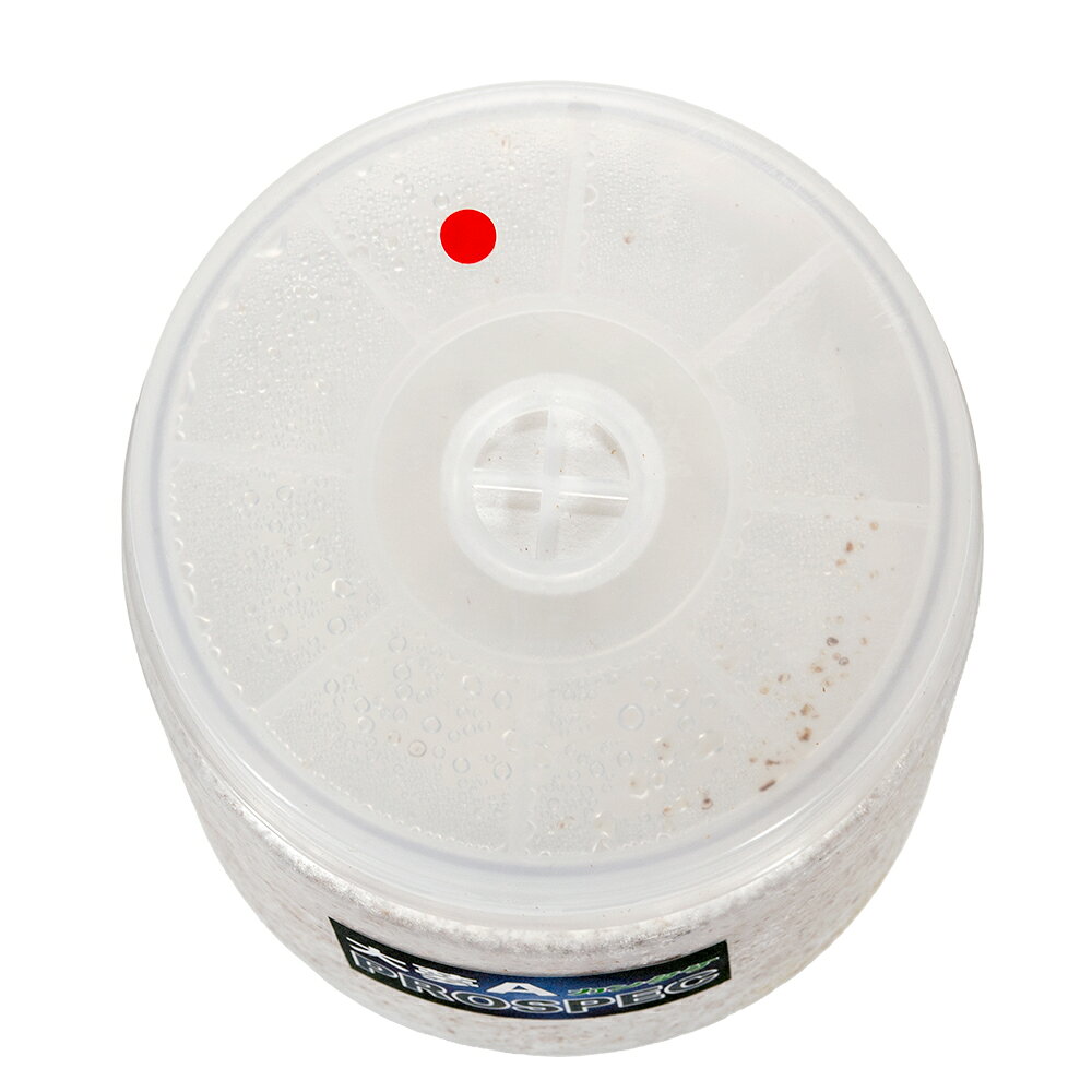 charm 楽天市場店の冷蔵★菌糸ビン　大夢A　プロスペック　（カンタケ）　クリアーボトル　1400cc　3本　別途クール手数料　常温商品同梱不可｜アングル2