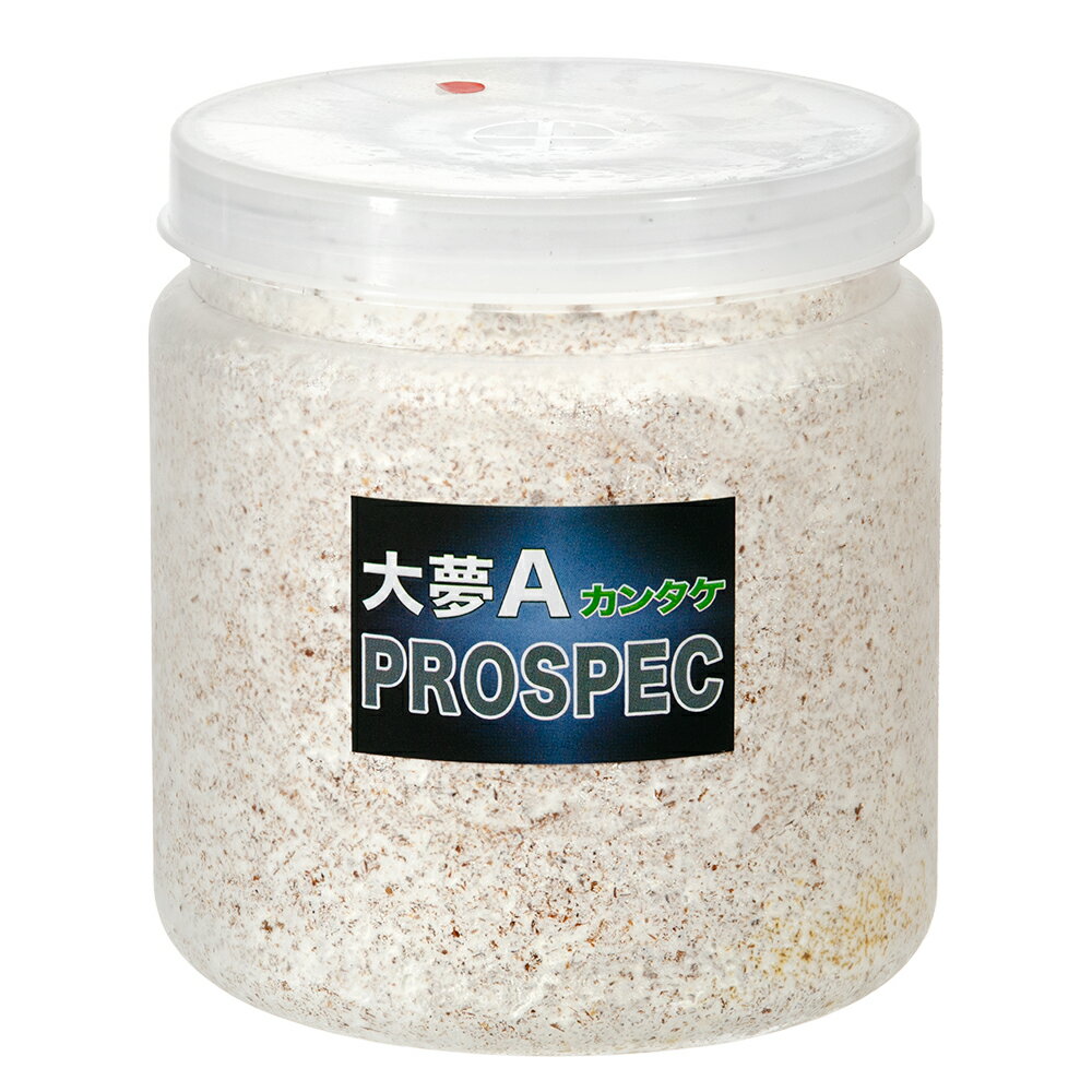 �ݻ�ӥ���̴A���ץ����ڥå����ʥ��󥿥��ˡ����ꥢ���ܥȥ롡1400cc��3��