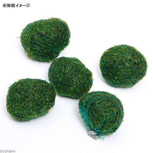 �ʿ���˴������ơ����������⥹���ܡ���ʿ����աˡ�̵�����ˡ�1�ġ�