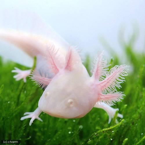 ��ξ����˥����ѡ��롼�ѡ�������ӥΡ�S��������1ɤ�ˡ��̳�ƻ���彣�Ҷ������ݲ�