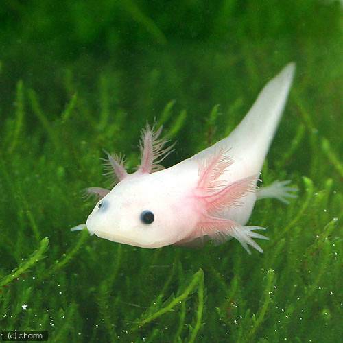 ��ξ����˥����ѡ��롼�ѡ�����塼�����ƥ��å�����ʹ��ܡ���Ĥ����M��������1ɤ�ˡ��̳�ƻ���彣�Ҷ������ݲ�