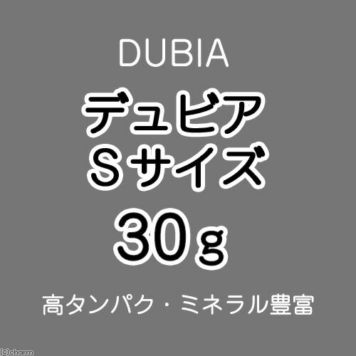 楽天市場 生餌 デュビア アルゼンチンモリゴキブリ Sサイズ 30グラム 約105匹 Charm 楽天市場店 みんなのレビュー 口コミ 楽天市場 生餌 デュビア アルゼンチンモリゴキブリ Sサイズ 30グラム 約105匹 Charm 楽天市場店 みんなのレビュー 口コミ