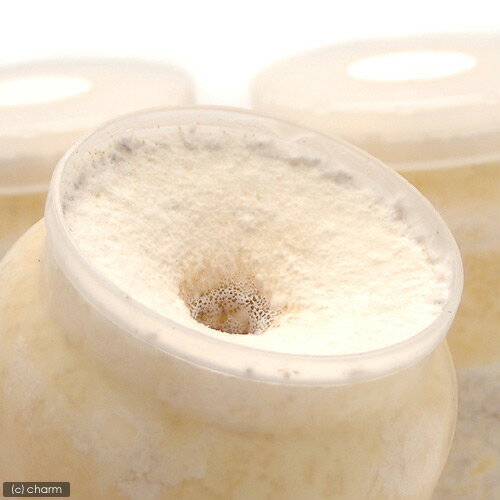 �ݻ�ӥ�XL��POT������饿����800cc��5��