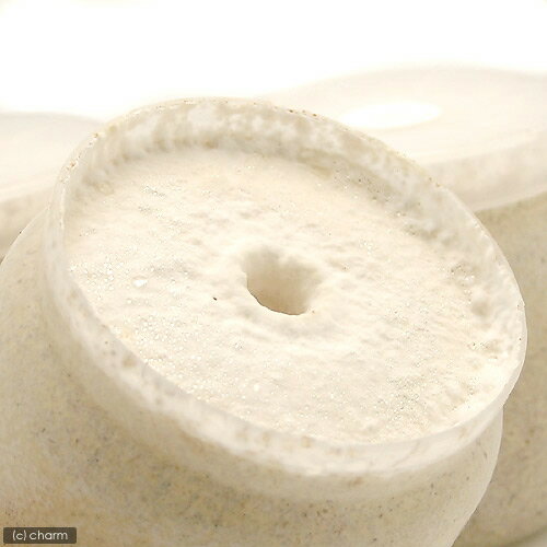 �ݻ�ӥ�XL��POT������饿����1400cc��5��