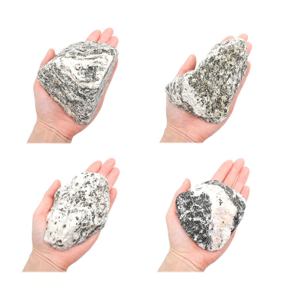 ������Ǥ���������С�S����������8��13cm�ˡ�1�ġ��������ꥦ�ࡡ�쥤�������Ǻࡡ����������