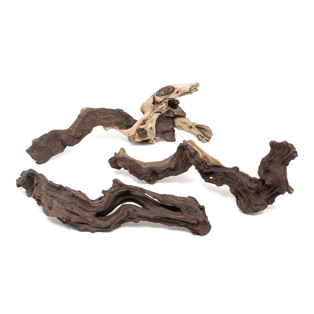 形状お任せ　煮込み済み　モパネウッド　Lサイズ（約35〜45cm）　3本　アクアリウム　レイアウト素材　..
