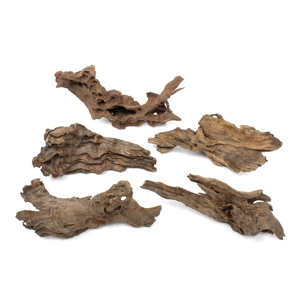 形状お任せ　煮込み済み　ウェーブウッド　Mサイズ（約25〜35cm）　5本　アクアリウム　レイアウト素材..