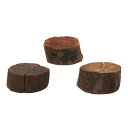 形状お任せ 煮込み済み 切り株ドリフトウッド Mサイズ(約7~9cm) Lowタイプ(高さ約3~5cm) 3本 関東当日便