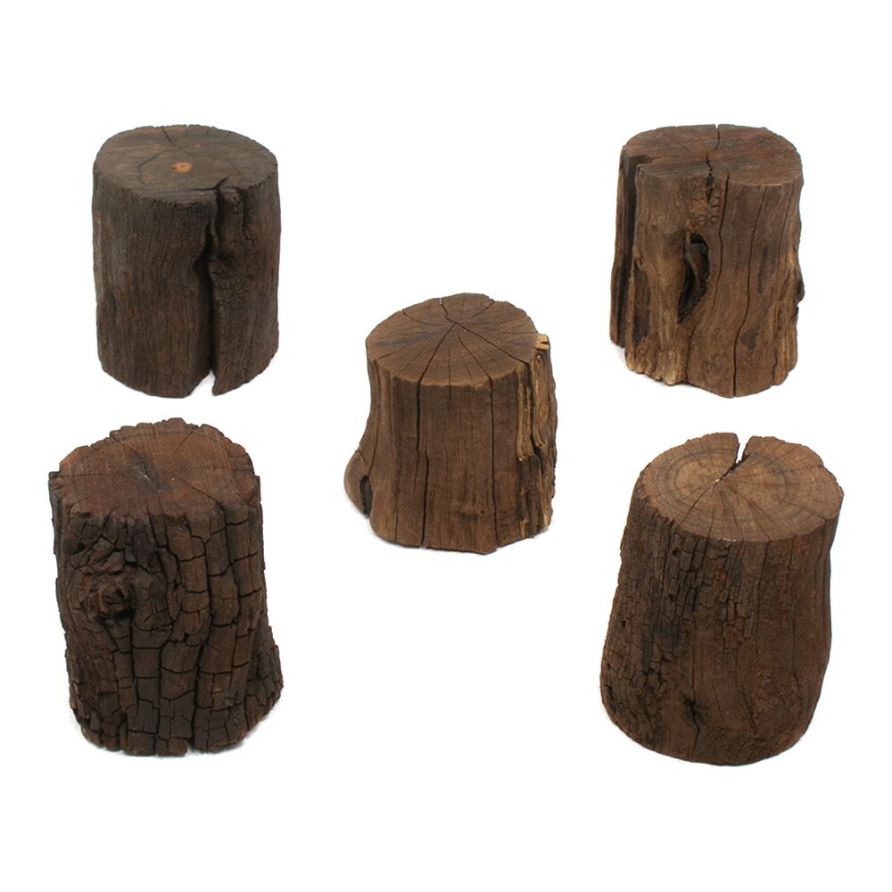 形状お任せ　煮込み済み　切り株ドリフトウッド　Sサイズ（約5〜7cm）　Normalタイプ（高さ約5〜10cm）..