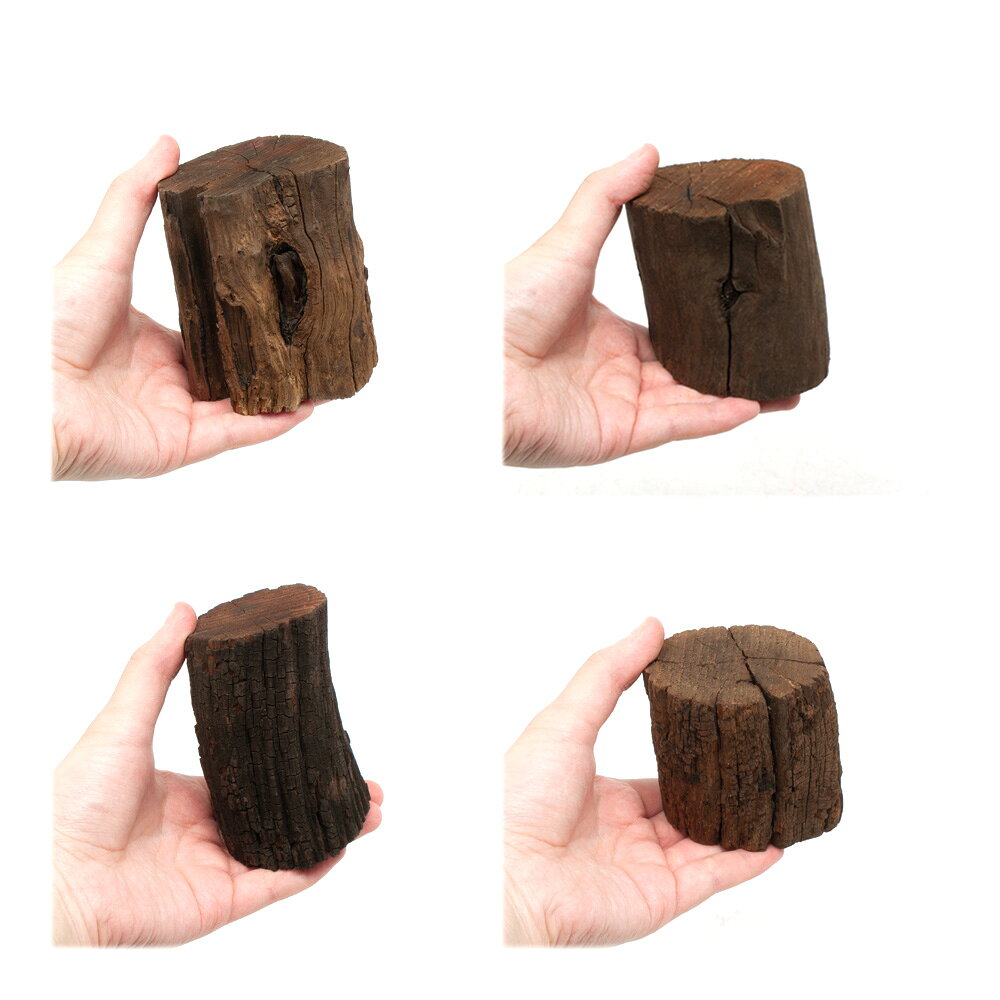 charm 楽天市場店の煮込み済み　切り株ドリフトウッド　Sサイズ　約5〜7cm　Normalタイプ　高さ約5〜10cm　5本　形状お任せ　アクアリウム　流木　関東当日便｜アングル2