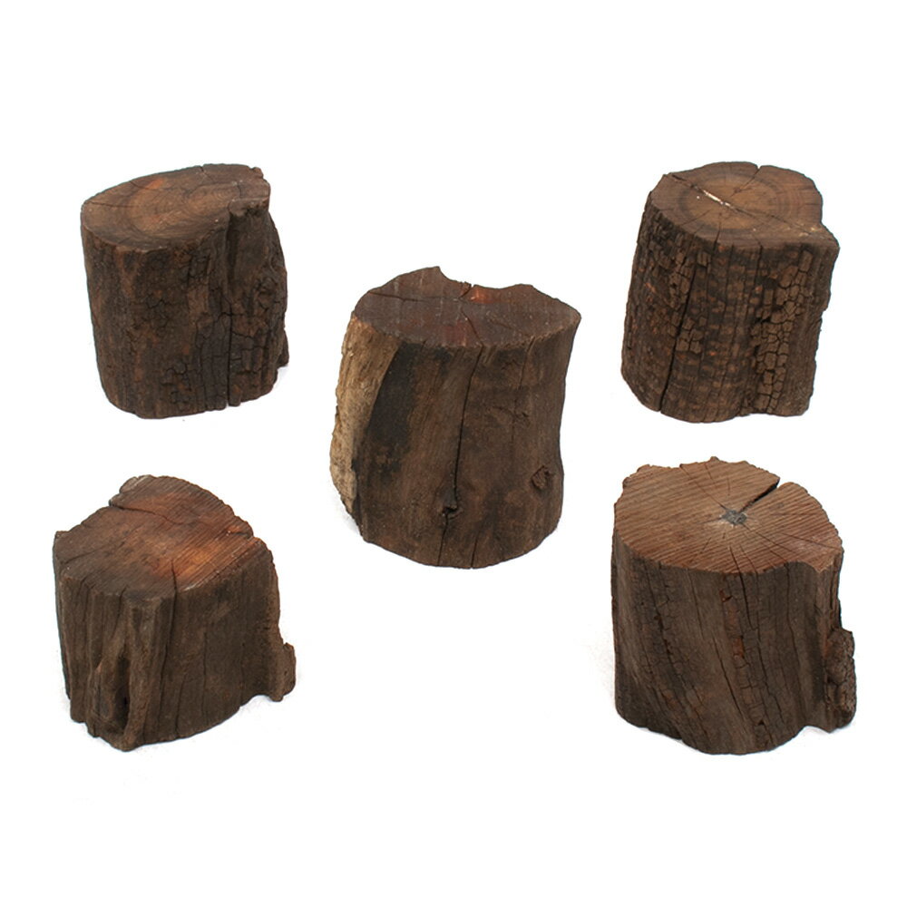 形状お任せ　煮込み済み　切り株ドリフトウッド　Mサイズ（約7〜9cm）　Normalタイプ（高さ約5〜10cm）..